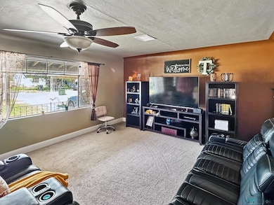 1010 N Howard St, Carlsbad, NM 88220 - photo 6