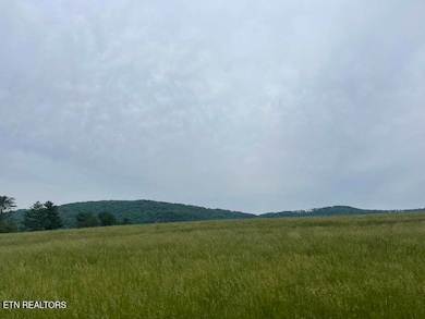 496 Aultville Tr, Pikeville, TN 37367 - photo 2