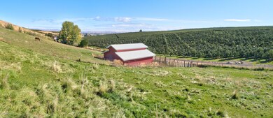 191003_Harris_WebertRd_Tieton_06
