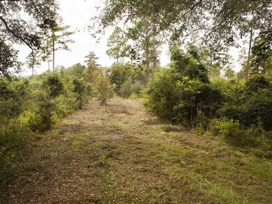 0000 Dixie-Barwick Rd, Boston, GA 31626 - photo 5