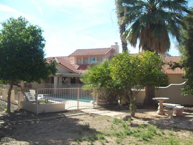 Old Photo of backyard from 2008