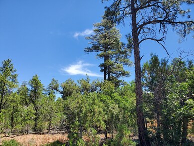 1151 S Falling Leaf Road