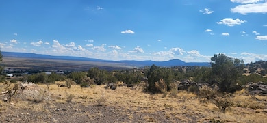 1215 Iron Ave, Grants, NM 87020 - photo 3