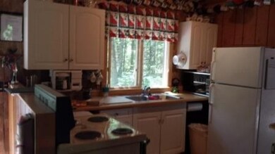 8232 W Fernwood Ave, Baldwin, MI 49304 - photo 4