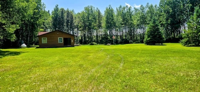 2965 Bankton Rd SW, Baudette, MN 56623 - photo 3