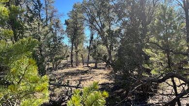 0 Paradise Loop unit 25411750, Quemado, NM 87829 - photo 2