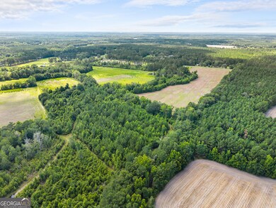 0 Fabled Ln unit LOT 4, Pembroke, GA 31321 - photo 4