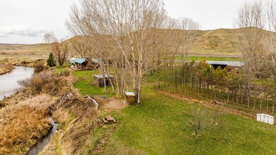 Aerial 6