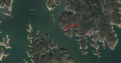 184 wrong road google earth view3