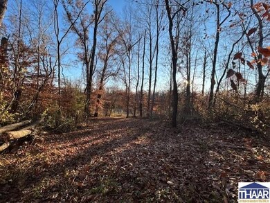 00 Eldridge Rd, Terre Haute, IN 47802 - photo 4