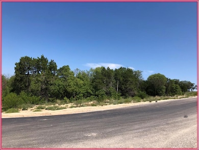 256 Eagles Ridge Ct, Weatherford, TX 76087 - photo 4