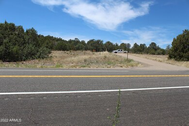 000 S Ash Creek Rd, Globe, AZ 85501 - photo 4