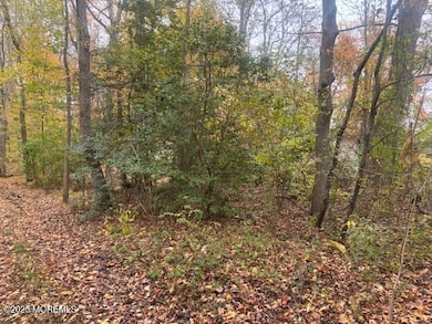 23 Kuzyk Rd, Plumsted, NJ 08514 - photo 2