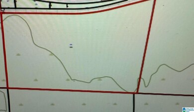 0 Fernbank Rd unit 21429188, Millport, AL 35576 - photo 2