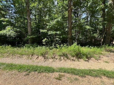 V/L National Pkwy unit 25, Chikaming Township, MI 49129 - photo 5