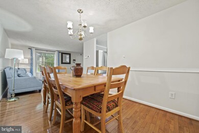 6100 Mantle Rd, Burke, VA 22015 - photo 7