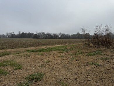 0 Lightfoot Luckett Rd, Ripley, TN 38063 - photo 5