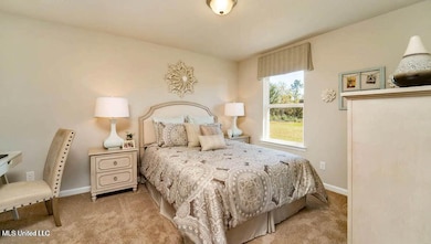 142 Mulberry Dr, Lucedale, MS 39452 - photo 6