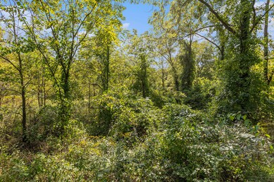 003_yawger_rd_bedford_charter_township_m