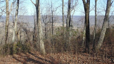 Looking through the woods over the bluff.