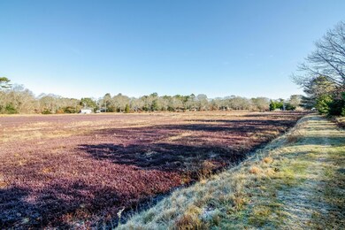 52 Centerbrook Ln, Centerville, MA 02632 - photo 4