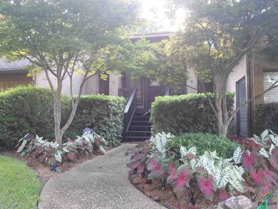 4003 Post Oak Rd, Tyler, TX 75701 - photo 2