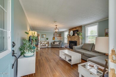 706 Hiwassee Hill Dr, Johnson City, TN 37601 - photo 6