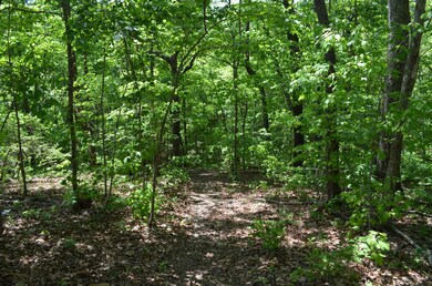 Wooded Lot