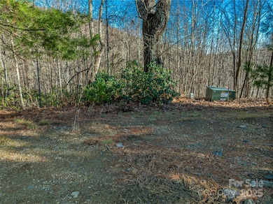 211 Ladys Fern Trail, Laurel Park, NC 28739 - photo 7