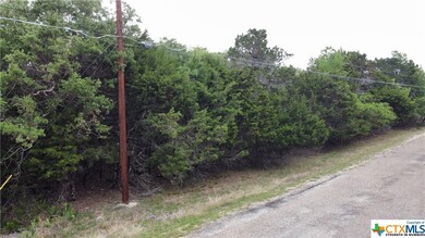 15886 Salado Dr, Temple, TX 76502 - photo 4