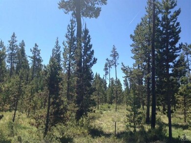 unlisted-address, Bend, OR 97707 - photo 4