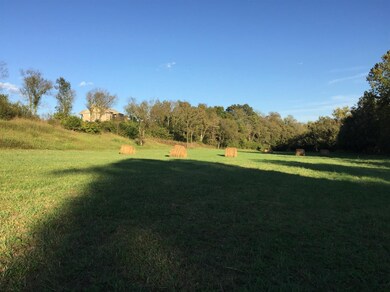 2350 Union Mill Rd, Nicholasville, KY 40356 - photo 6