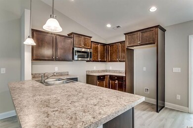 104 Pumpkin Ash Loop, Conway, SC 29527 - photo 3