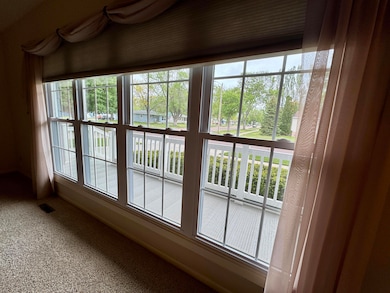 Living Room Windows