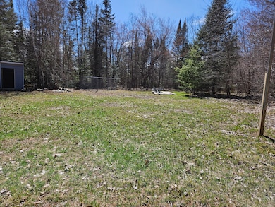 Ford lake clearing