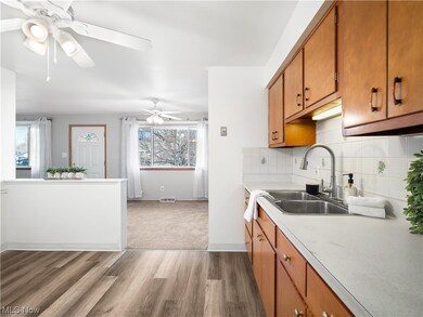 Kitchen with backsplash, ceiling fan, sink, and light carpet