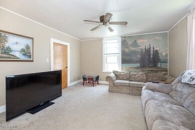 Carpeted living room featuring crown molding and a ceiling fan