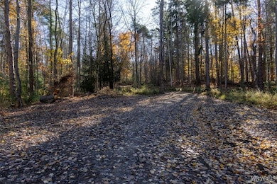 9881+9937 Larkin Rd, Eden, NY 14057 - photo 5