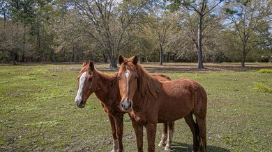 Horse Farm- 6 acres