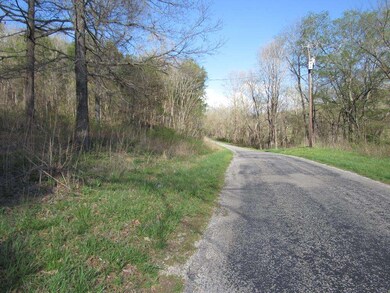 0 Hurricane Creek Rd unit 1816034, Linden, TN 37096 - photo 5