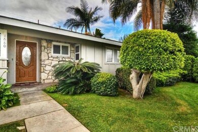 Mature Landscaping