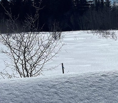 778 New Dunntown Rd, Wade, ME 04786 - photo 4