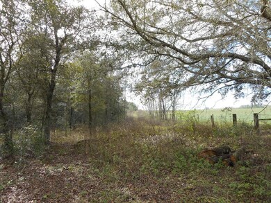 315 Acres SE 216 Ave, Morriston, FL 32668 - photo 4