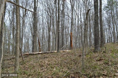 0 Funk Rd unit 1002952670, Strasburg, VA 22657 - photo 7