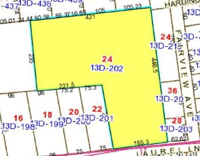 3+ acre lot in the middle of Laurel Park - one of