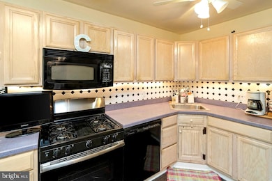 11742 Colman Rd, Philadelphia, PA 19154 - photo 6