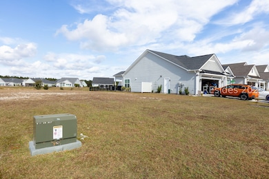 184 Redbud Ln, Hardeeville, SC 29927 - photo 6