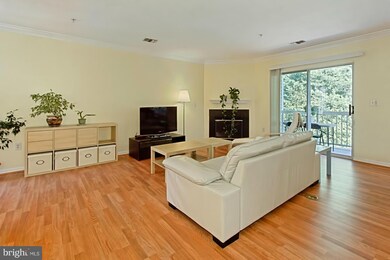 4520 Superior Square unit 4520, Fairfax, VA 22033 - photo 3