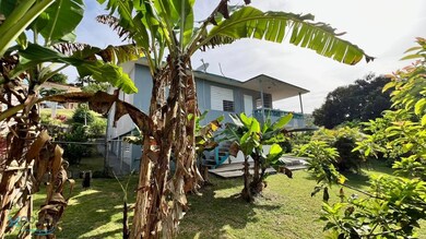 KM 62 446 Rd Robles Wd San Sebastian Pr 00685, San Sebastián, PR 00685 - photo 7