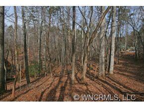 Lot 37 Wolf River Ln unit 37, Lake Lure, NC 28746 - photo 4